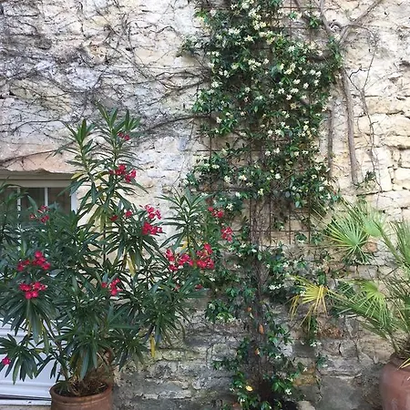 Bed & Breakfast La Maison Des Lauriers